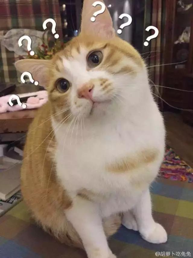 一个号码的呼叫转移,呼叫转移0.1元一分钟