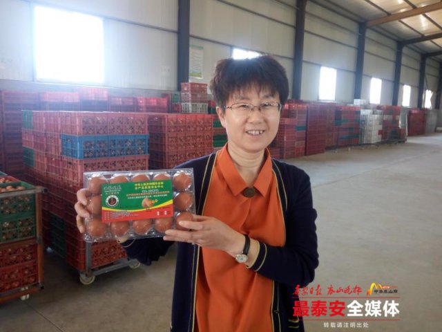 宁阳这位“鸡司令”不简单,用“凤凰蛋”带动一方人致富