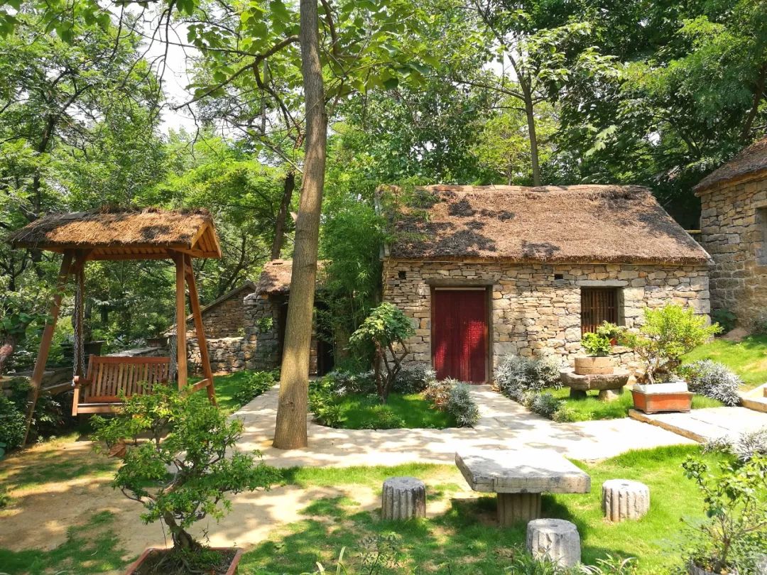 端午节我们要划龙舟还要干什么呢,端午节划龙舟的地方在哪里