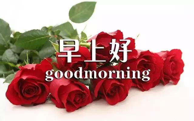 最新早上好图片鲜花带字微信朋友圈早安一句话心情短语