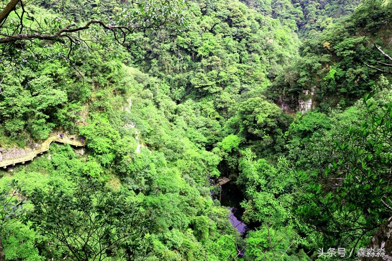 云顶大峡谷攻略,云顶大峡谷景区