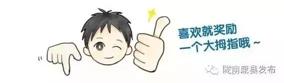 甘肃康县山珍图片,青岛康县山珍图片