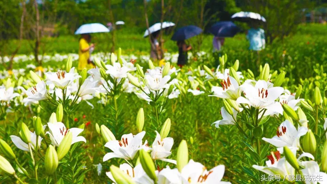 女朋友和老婆的定义是什么,女朋友和老婆的定义