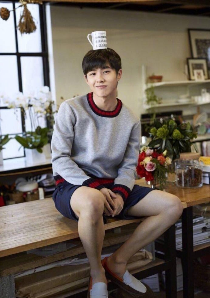 吴磊走红史,95后小鲜肉吴磊