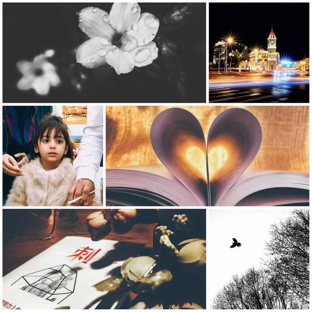 零基础摄影学习培训,全面技能提升训练营