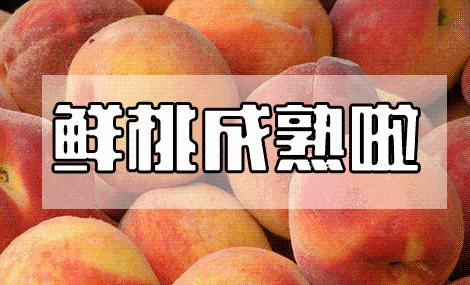 灞变笢鏂伴矞娌规,閮煄娌规