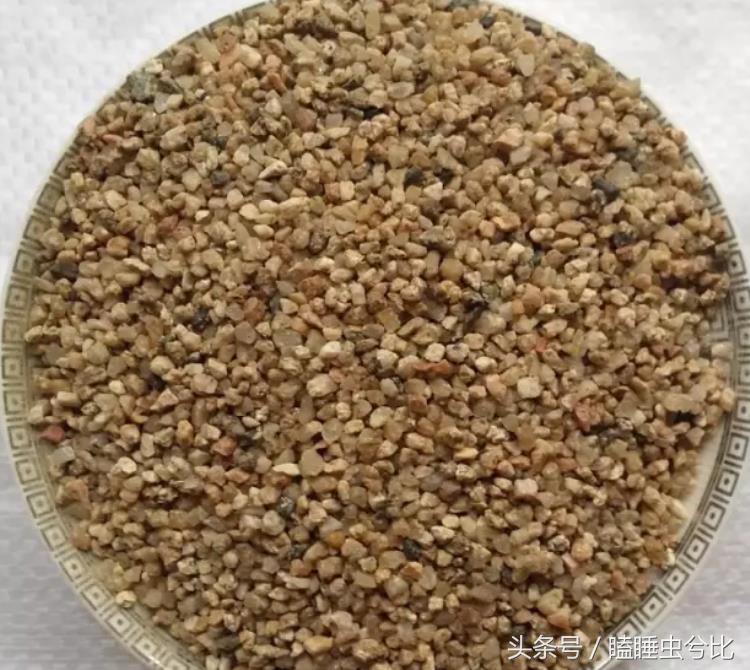 颗粒土和营养土哪个养多肉好,养多肉用什么土和什么肥料