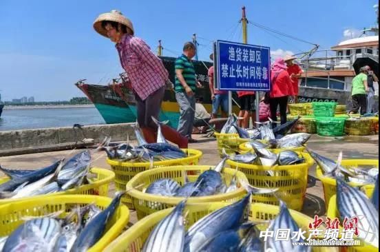 休渔期来了海鲜市场价格会飙涨嘛,今天休渔期海鲜价格