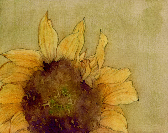 白夜水彩,白夜水彩分享