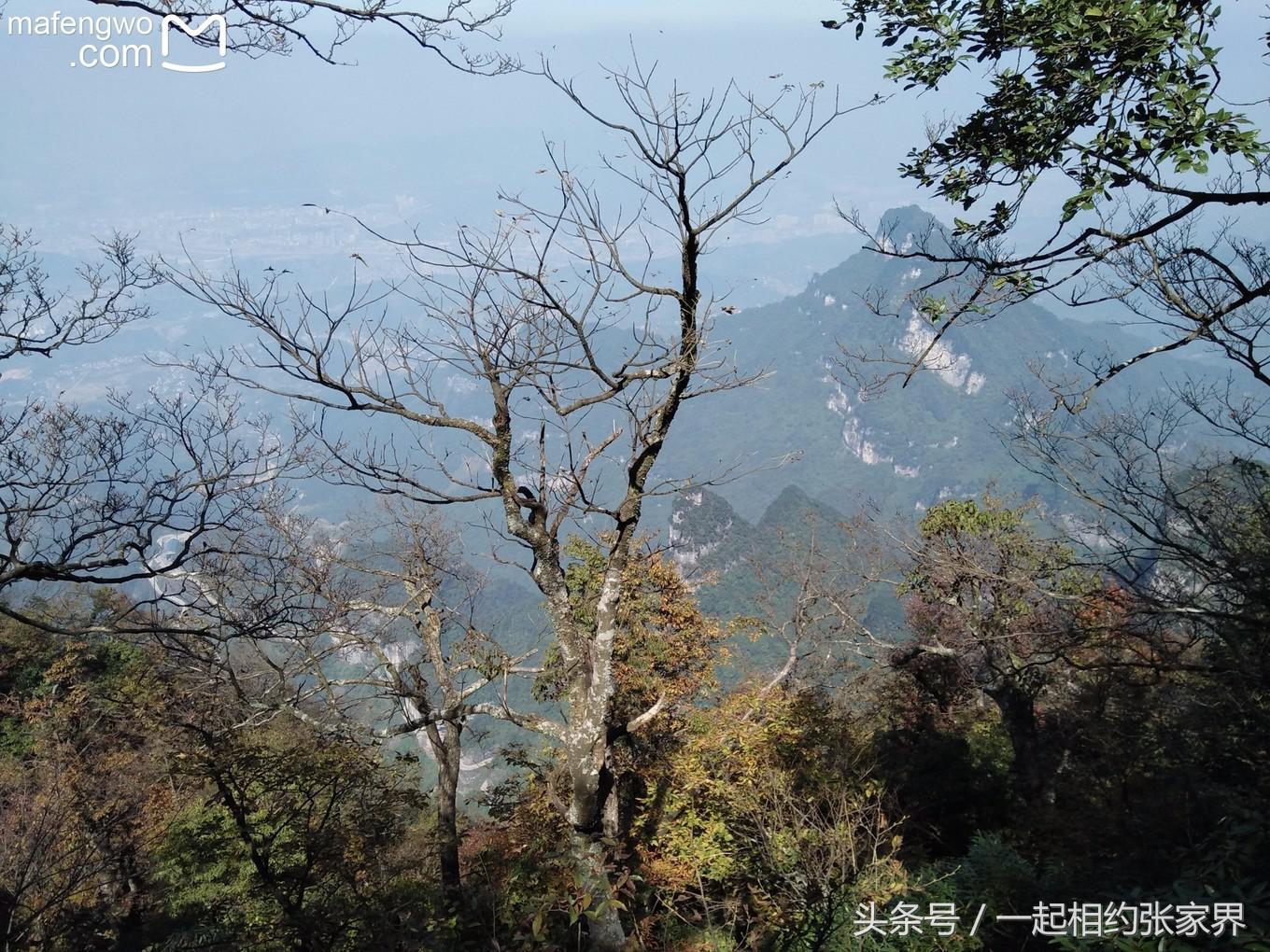 张家界机场到天门山自由行攻略,张家界天门山一日游攻略省钱