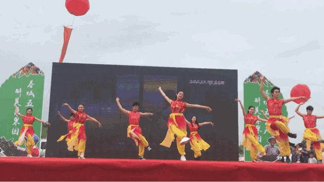 AreYouReady~~~第六届桑果紫酒节火爆来袭！采桑葚，赏演出，如此“葚”好！