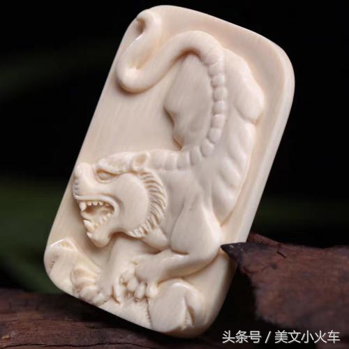 一起探秘猛犸象牙,最完整的猛犸象牙