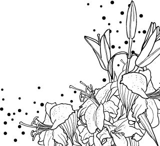 猎奇｜一次葡萄酒作为*情催**大师的实验