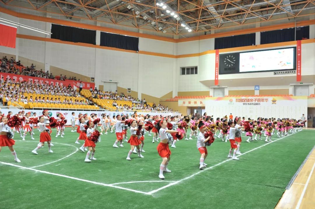 小学足球嘉年华足球赛,快乐小足球