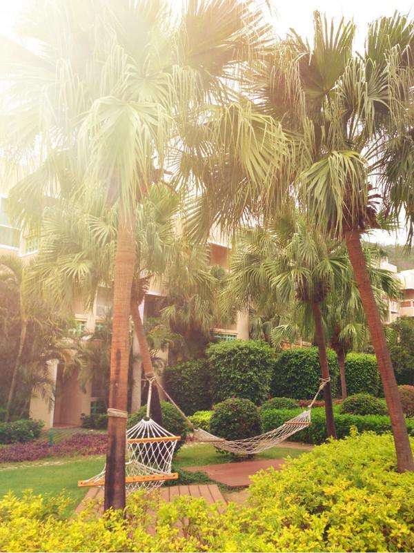 来三亚一定要吃的美食,来三亚为什么非要吃海鲜