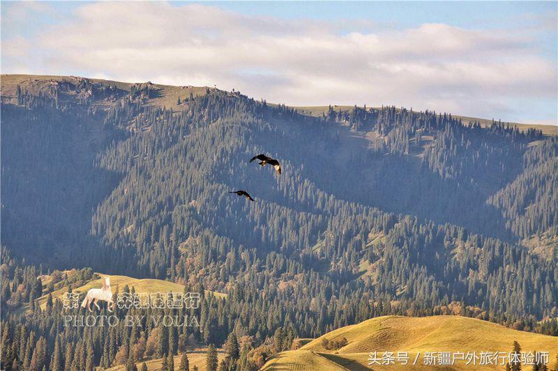 南疆-独库公路寻梦