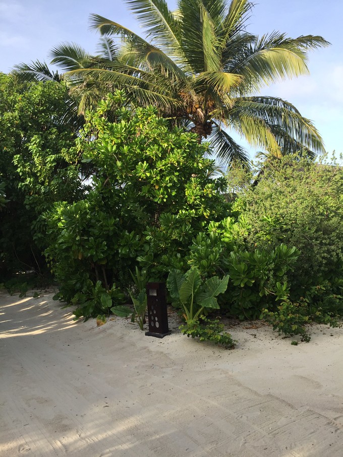 马代有毒，去过就停不下来~马尔代夫奥臻岛ozen