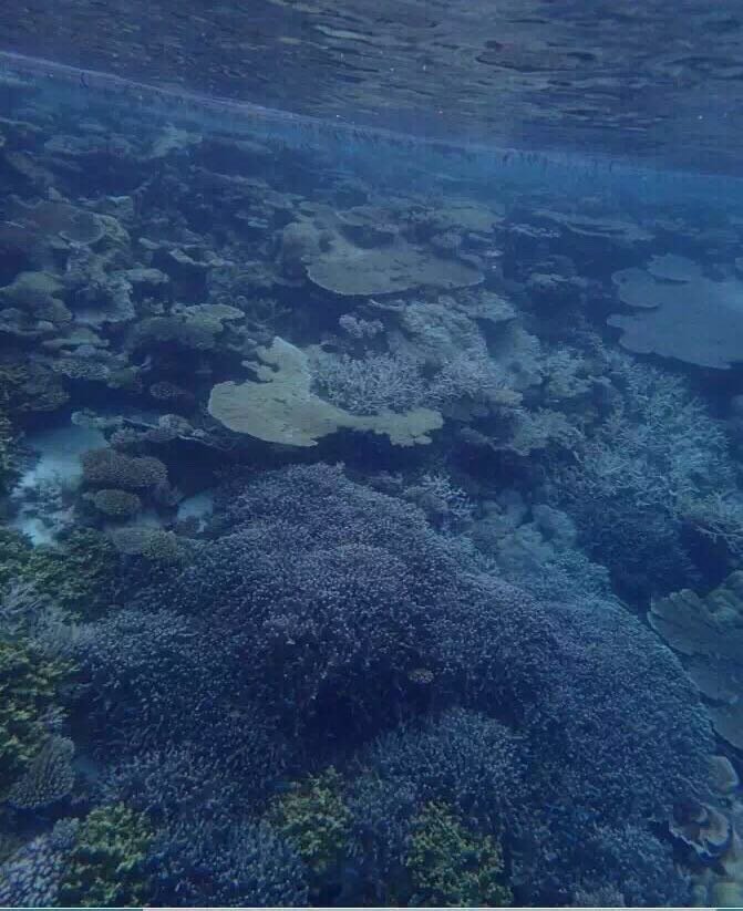 马代有毒，去过就停不下来~马尔代夫奥臻岛ozen