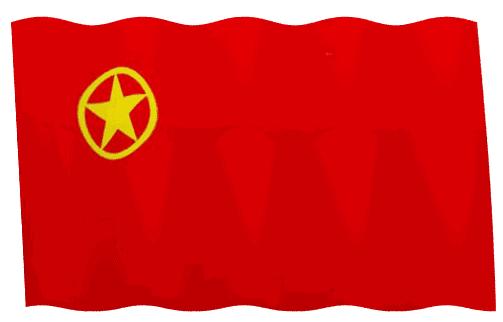 五四表彰名单公示范文,五四青年表彰名单公示