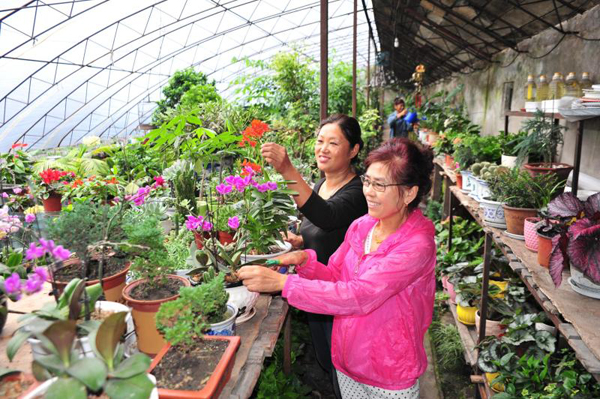 你不知道的创业小项目,农村创业什么才是挣钱的门路