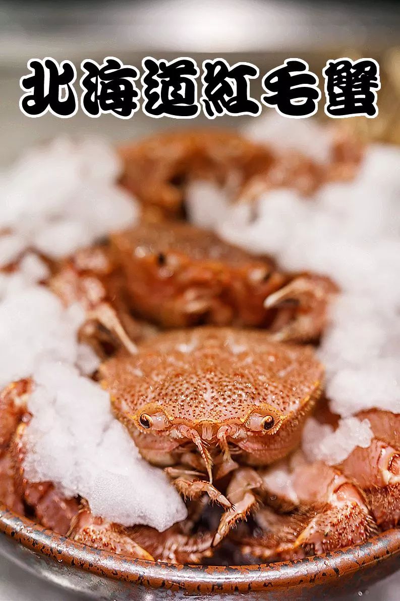 天津好吃实惠的日料,天津物美价廉的日料