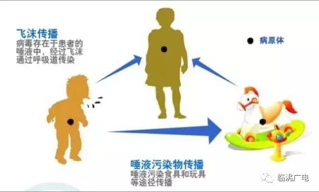 传染病及其预防科普,传染病的预防知识视频