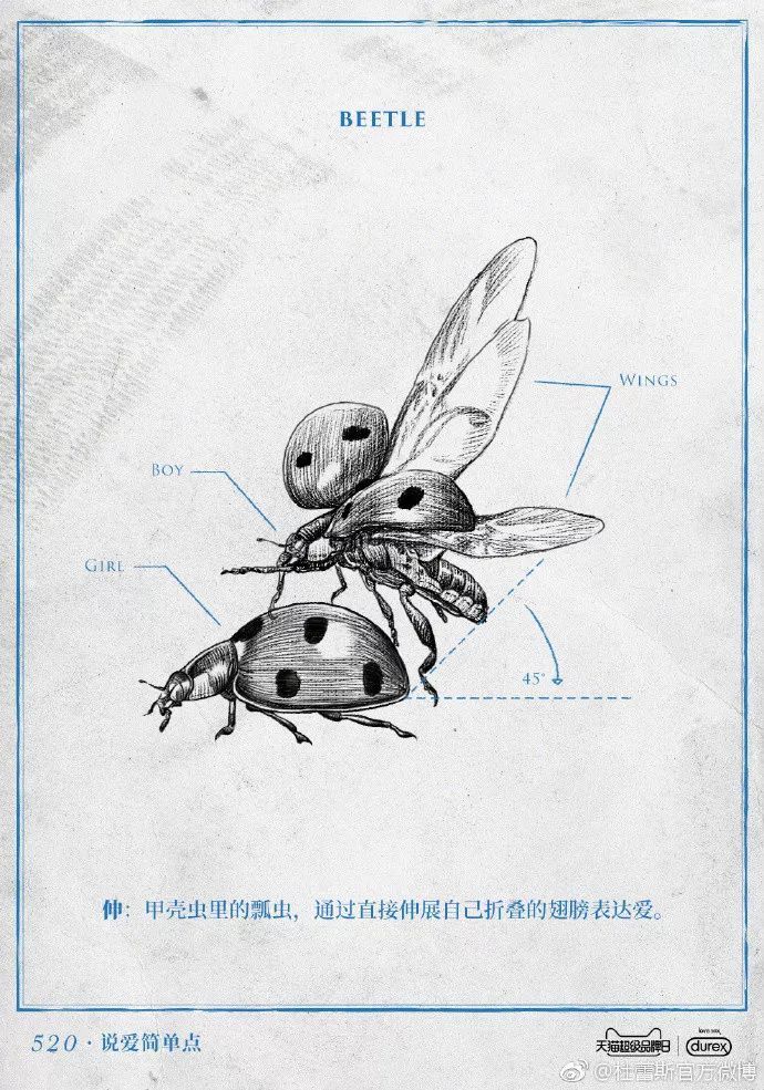 杜蕾斯文案为什么接地气,杜蕾斯评论区文案