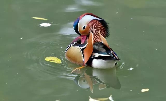 红色黑龙江图片,黑龙江红色景区有哪些