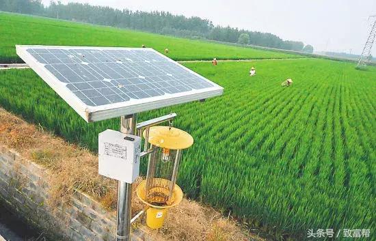 酵素代替农药化肥有哪些品牌,农用酵素替代化肥农药案例