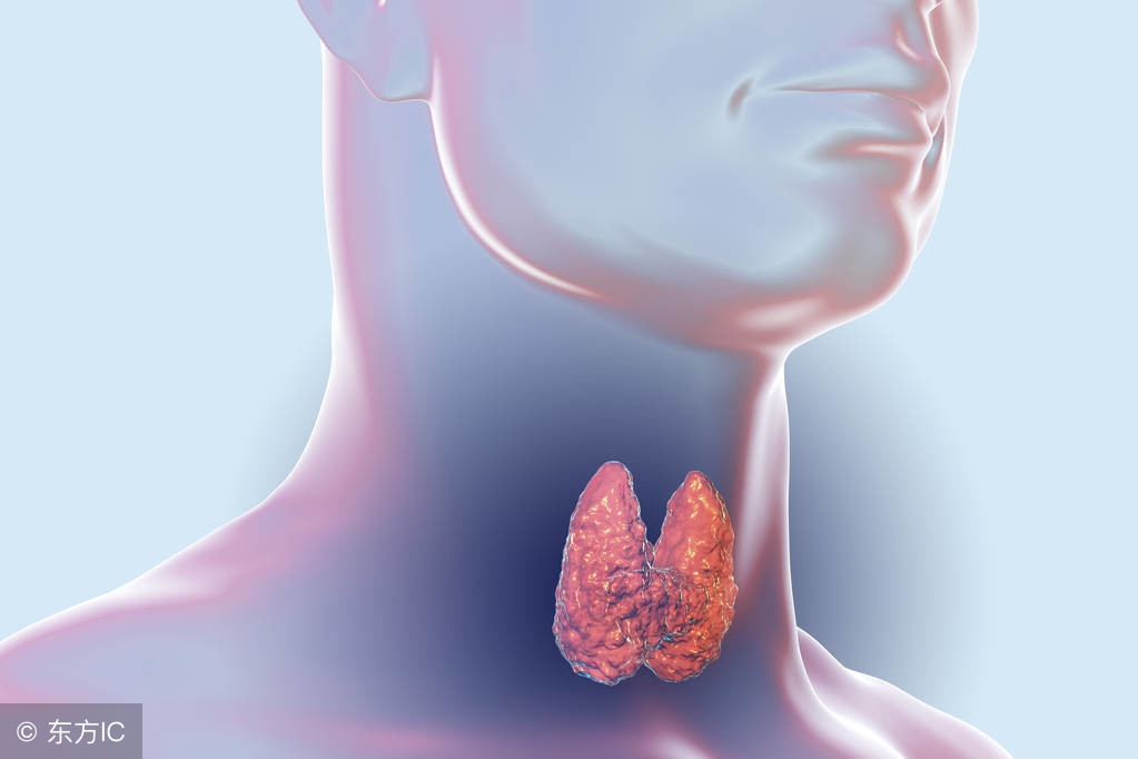 忽然变胖的原因有哪些？可能是生病了，也可能是好事在发生