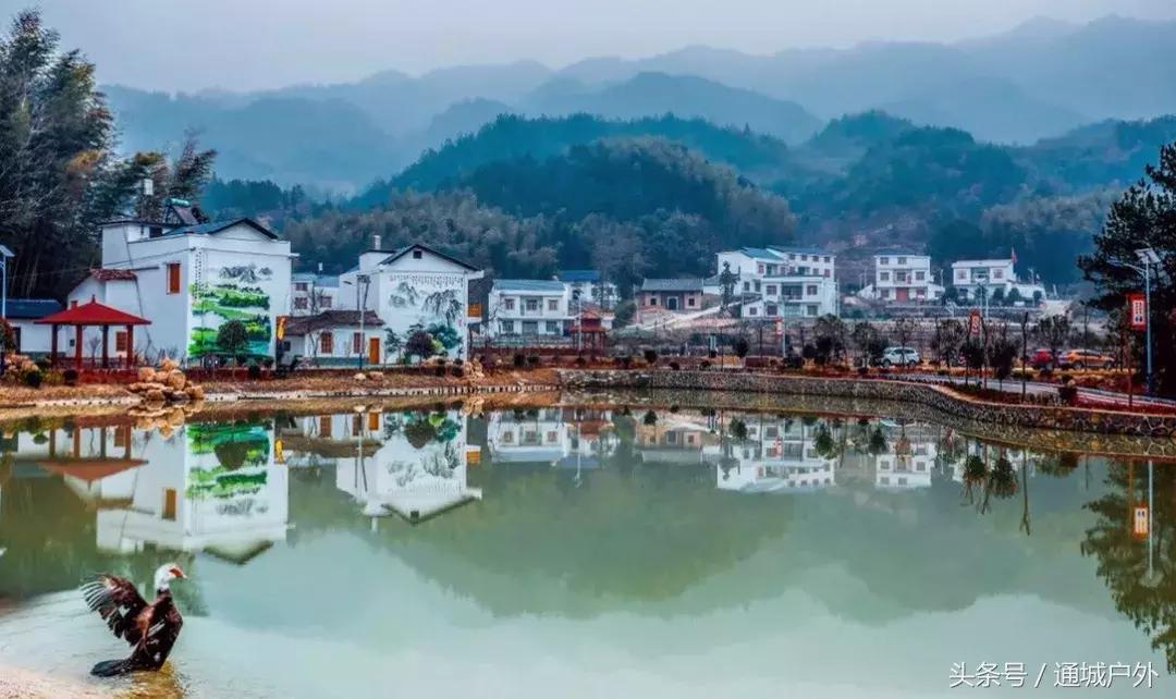 湖北2020十大美丽乡村,通城龙门村美丽乡村建设项目