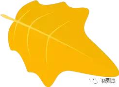 抑郁症疗愈花园,抑郁情绪疗愈法