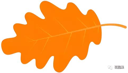 抑郁症疗愈花园,抑郁情绪疗愈法