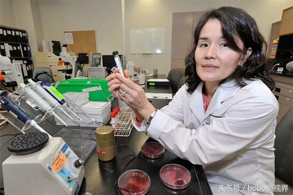 也许你还不知道，你整天拿在手里的手机已经成为了病菌聚集地