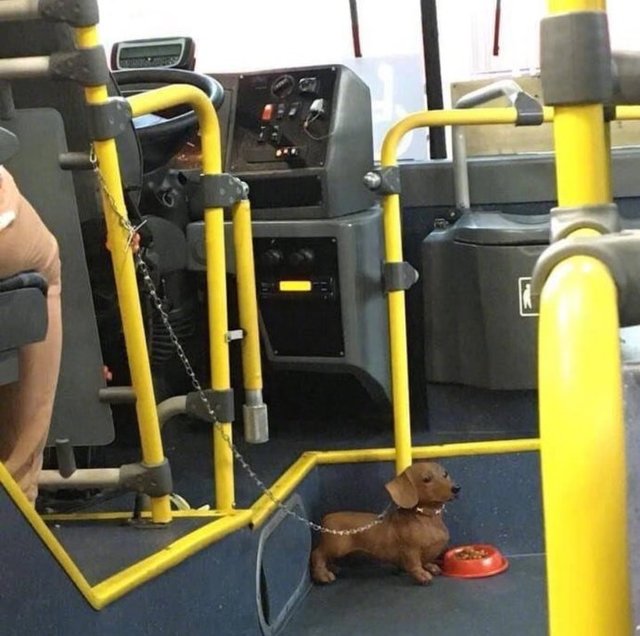 儿童报警求助知识,孩子报警求助教科书