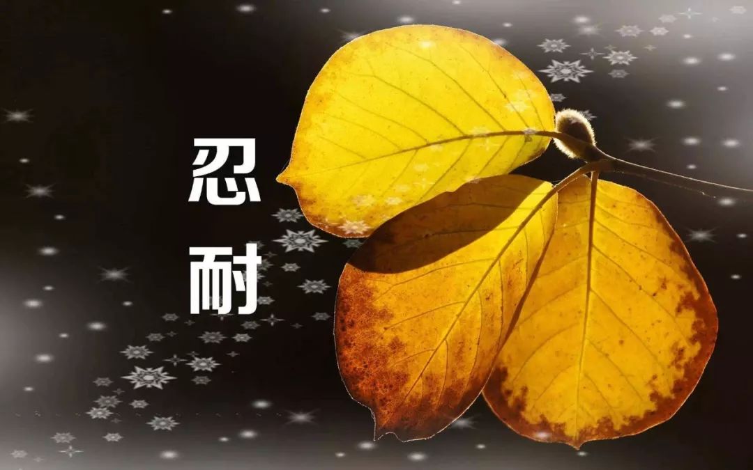 医疗纠纷的处理与预防心得体会,医疗纠纷的感悟2000字