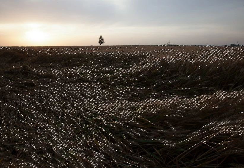 如何拍出油腻感的照片,怎么拍出油腻照片