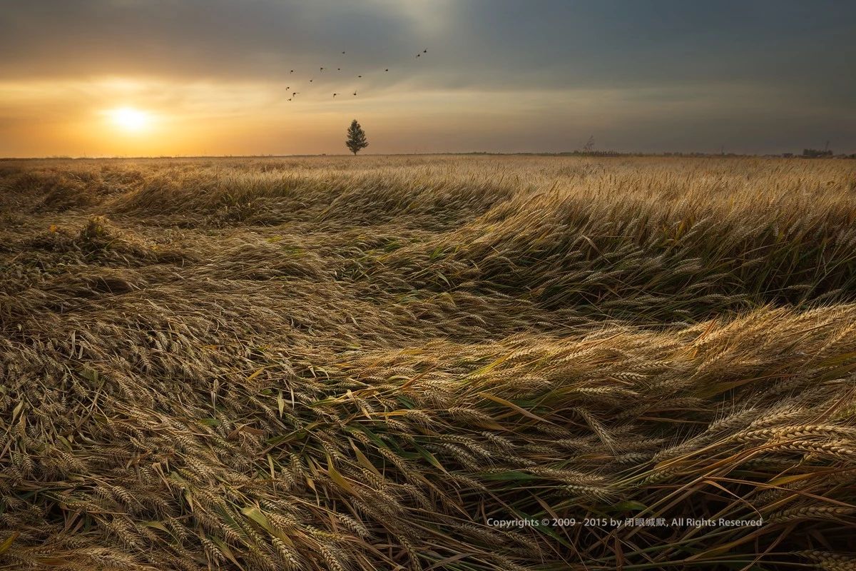 如何拍出油腻感的照片,怎么拍出油腻照片