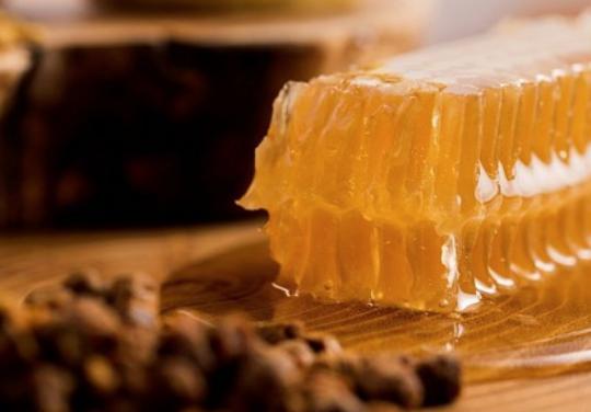 巴西桑巴狂欢节干些啥,巴西足球盛会