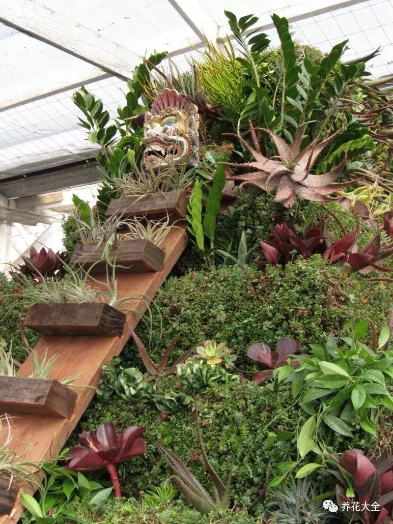 老外私家花园景观,国外多肉花园