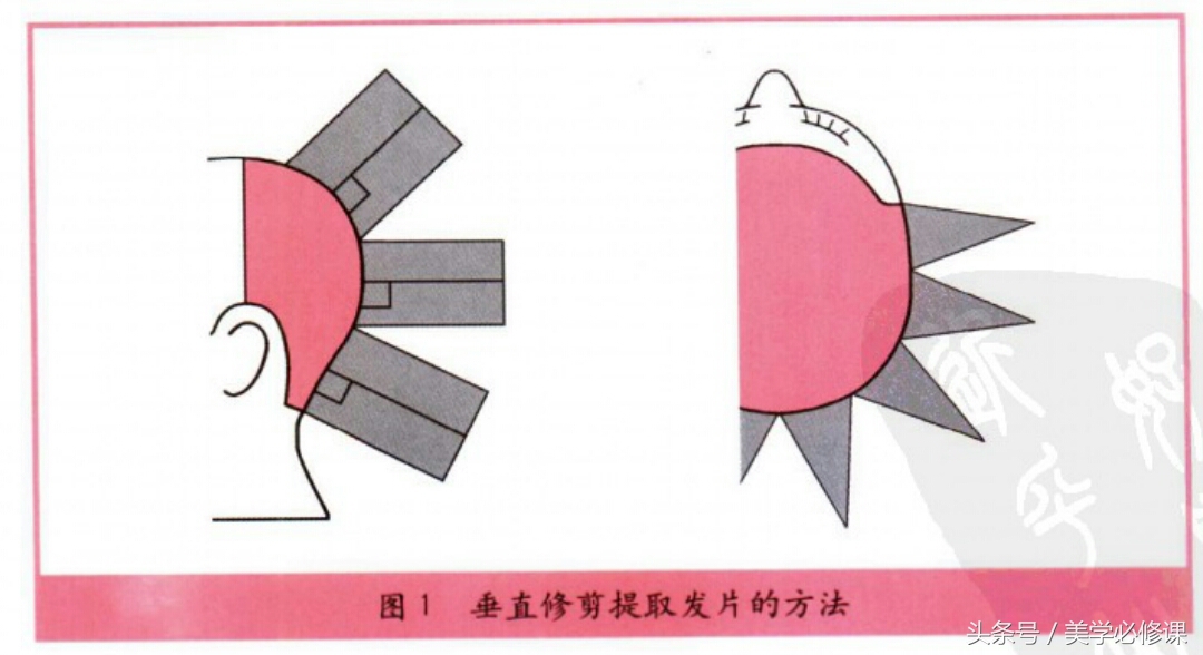 如何简易修剪头发视频讲解,剪发师教你如何剪头发