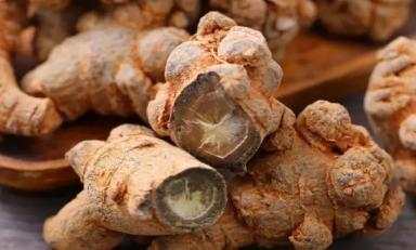 三七的功效与作用及禁忌症高血压,藏三七的功效与作用与禁忌