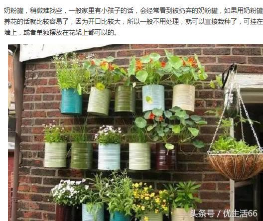 剩下的奶粉罐可以用来养什么东西,家里废弃奶粉罐如何重新利用