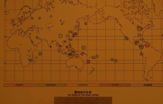 王珠宝寻宝日记：探访珍珠小城日本三重县鸟取市