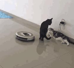 答应我，这个夏天一定不要轻易尝试这种裤子