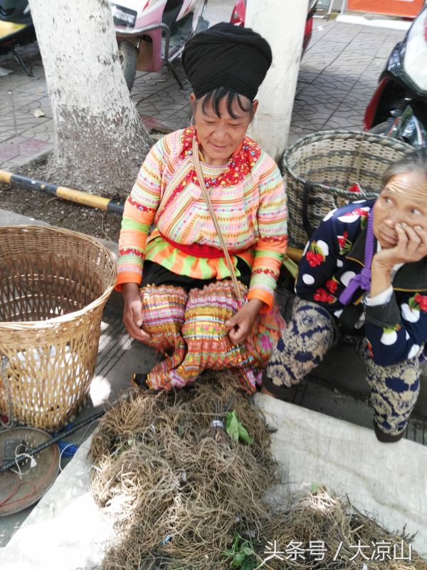 凉山德昌傈僳族端午节前夕祭献药王“花世图扒”，端午当天要吃李子据说四季不生疮