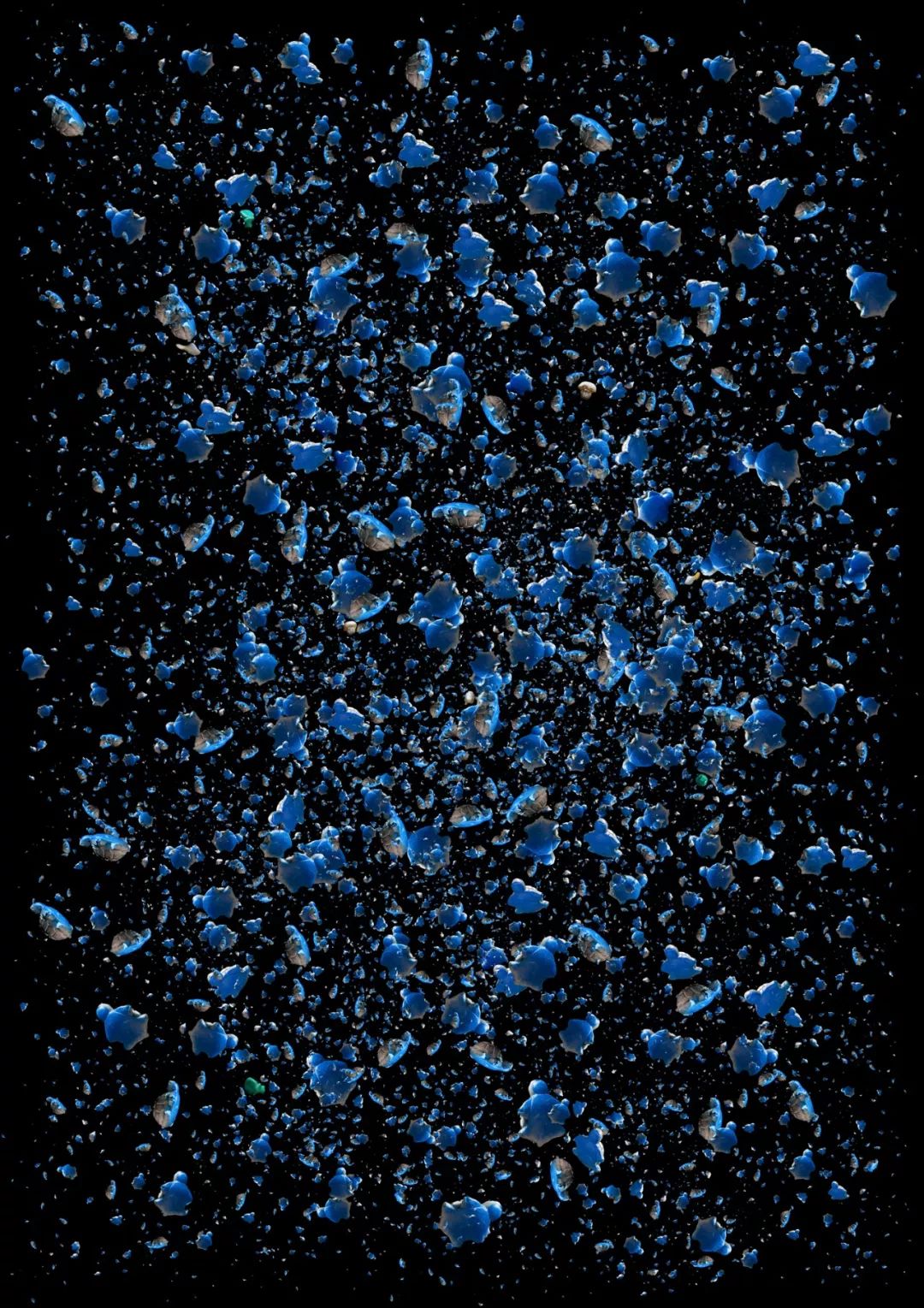 要地球，还是塑料？｜Zoom