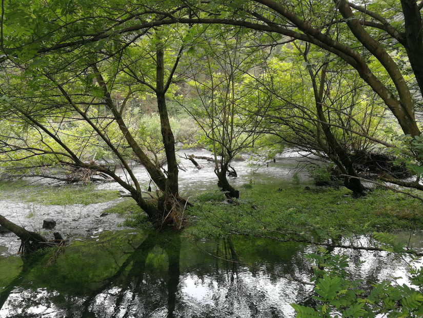 青瓦白墙恋徽州徽风古韵,徽州寻梦之旅