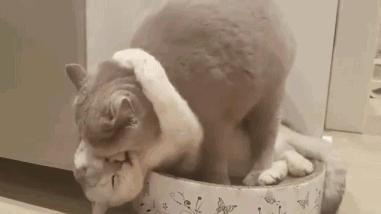 王者荣耀局内表情包我躺好了,王者荣耀表情包把心交出来