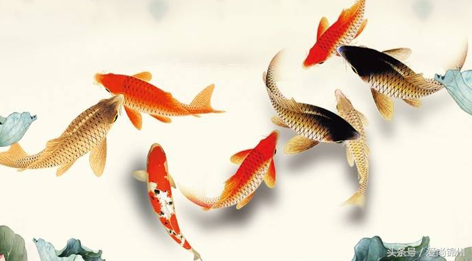 风水吉星贵人,风水吉星图